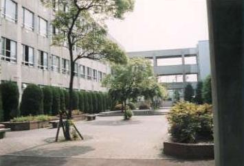 校舎