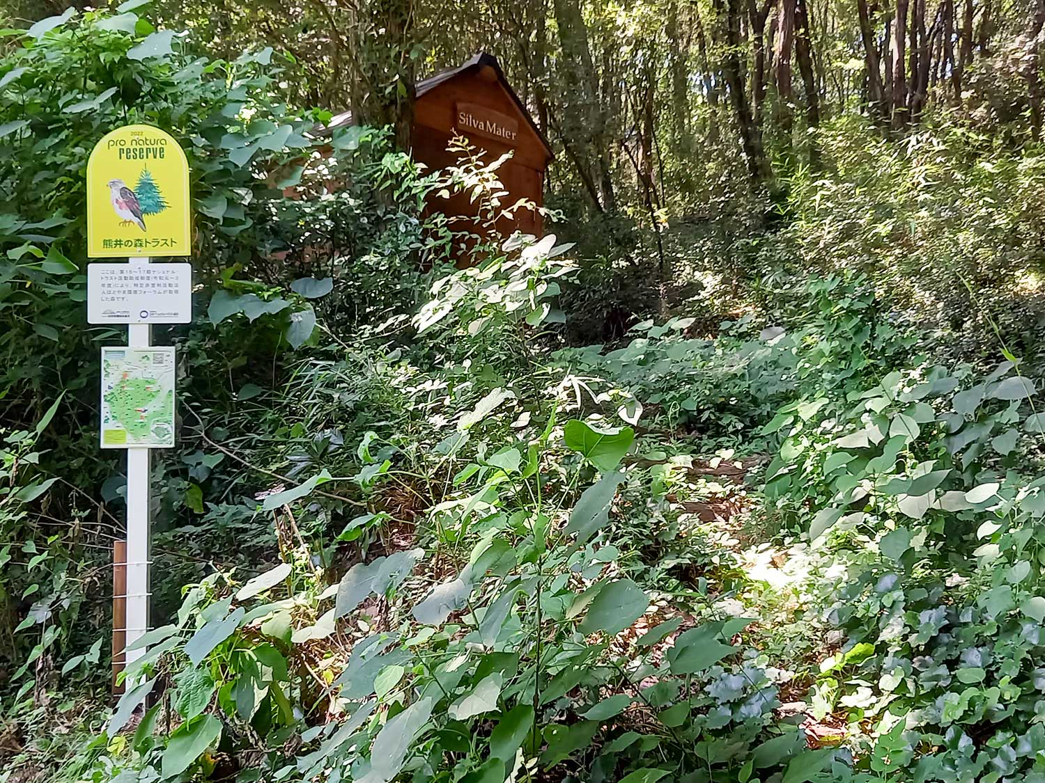 はとやま環境フォーラム